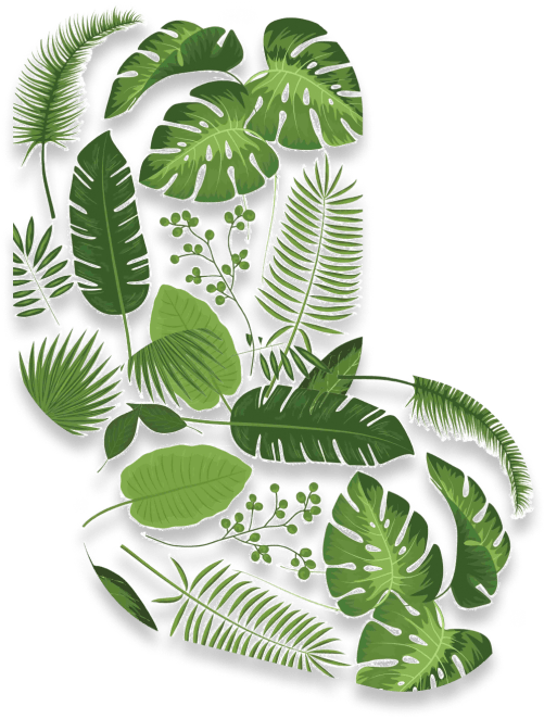 A drawing of jungle foliage, serves as decoration for the evolution-theme