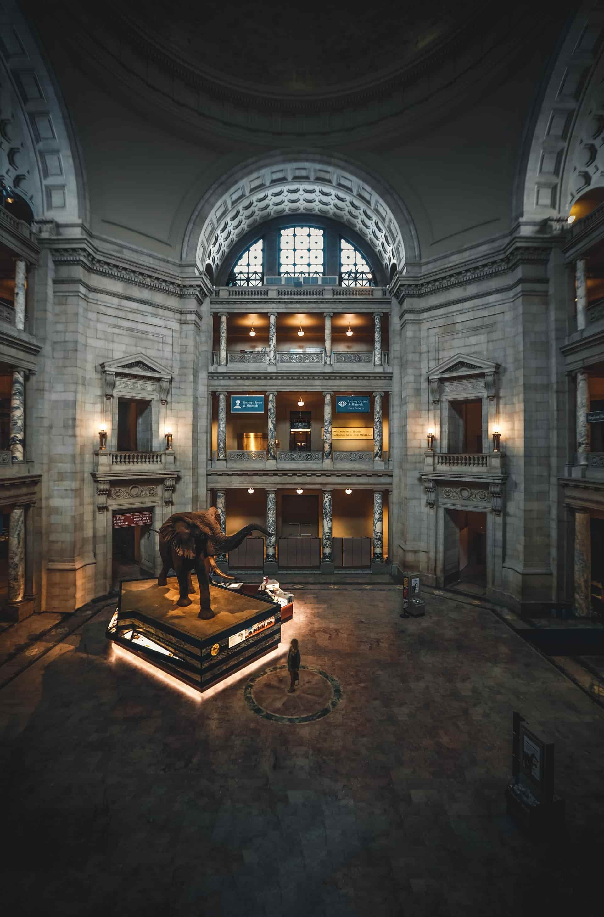 A dark, dimly lit museum-hall with a mammoth-skeleton and a lot of visiting guests..